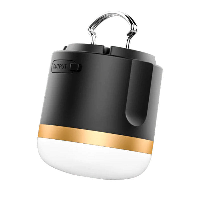 EcoFlow Camping Light Side View With Handle